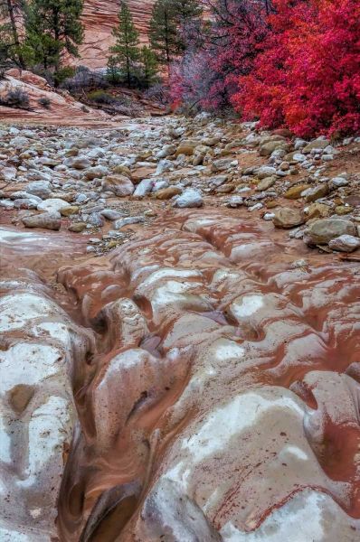 USA, Utah, Zion NP Ground rock pattern